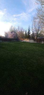 Residential Lawn Care / Property Management ( After ) *2-2