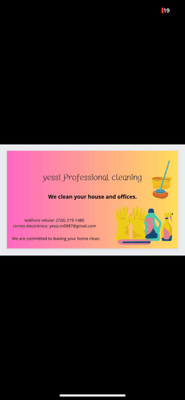 yessi Professional cleaning