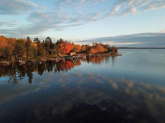 Beautiful Fall Leaves