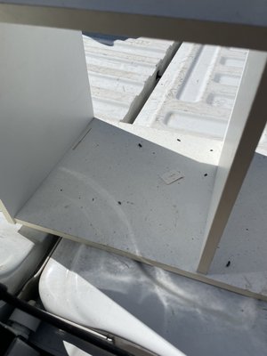 More furniture ruined by rat feces and scratches