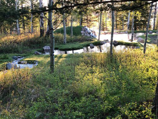 Ponds and Water Features!