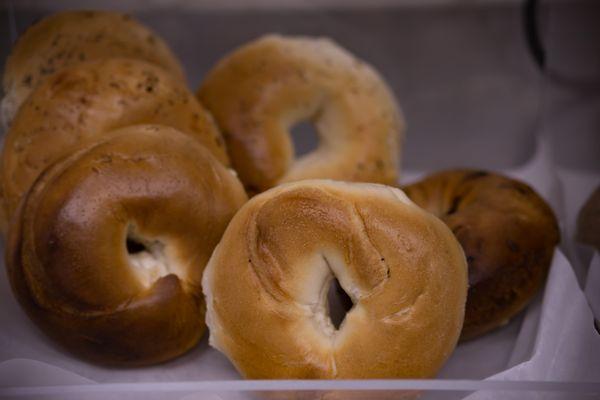 Jersey Bagels