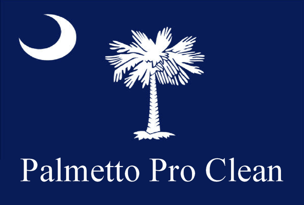 At Palmetto Pro Clean,  professional cleaning is our business. It's what we do (and we do a lot of it) and we're really good at it.