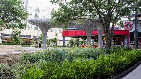 Beautiful landscaping and arbor care at The Domain- Austin.