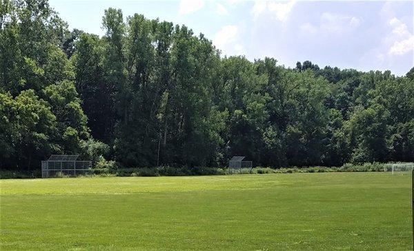 soccer fields in the Annex