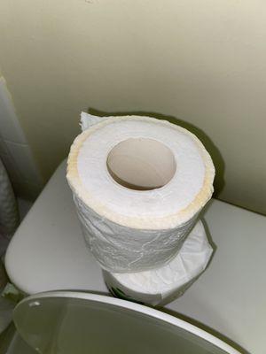 nasty pee soaked toilet paper