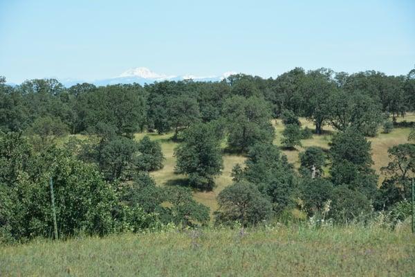 Mt. Lassen.  Your back yard view!