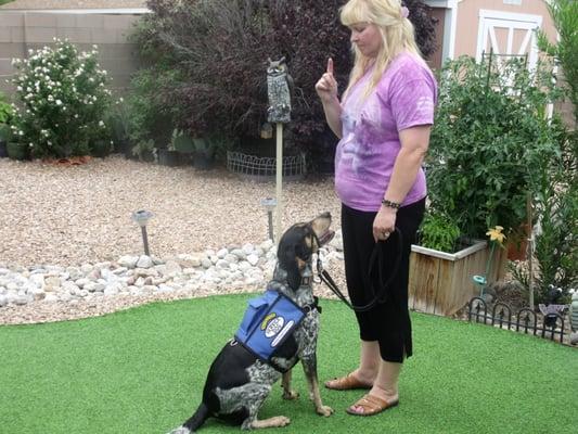 Service Dog Training