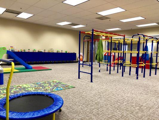 Natural Environment Training room - children build social skills and play skills in an organic setting.