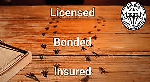 Licensed, Bonded, and Insured