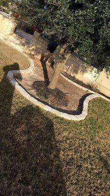 Extended the bedding area around the tree with stone edging.