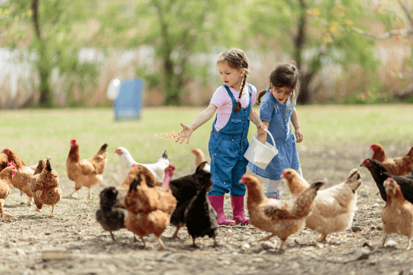 Aloha Feed Garden & Pet