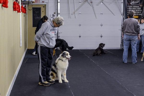 Basic obedience class.