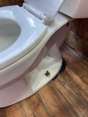 Toilet tries to fall over when you sit on and what's that black stuff creeping out??