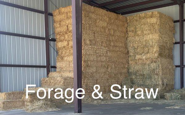 Forage and straw