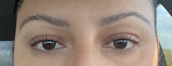 Forgot to take a before, but this is right after my lash lift. No need to use an eyelash curler daily anymore!