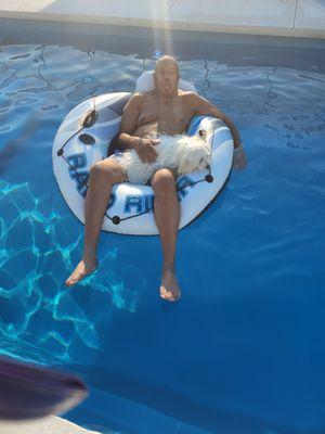 The man of the house and our  dog enjoying the pool.