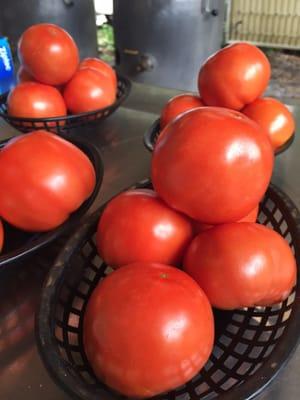 Also have fresh local tomatoes