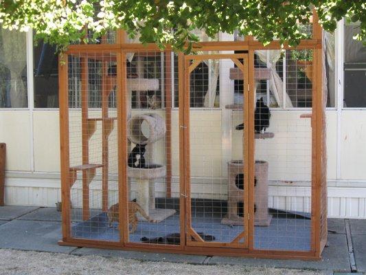 Kitties enjoy being outdoors safely in our Cat Enclosure Kit.