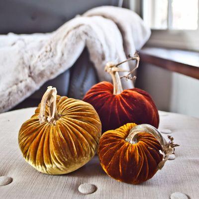 Original, velvet Plush pumpkins