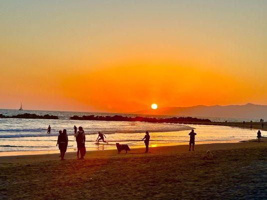 Venice Beach