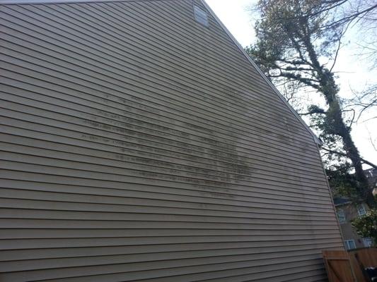 Green algae on the side of a house: before picture