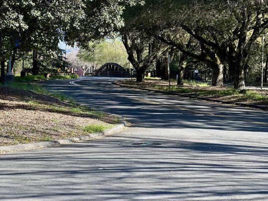 Country road to more campus housing