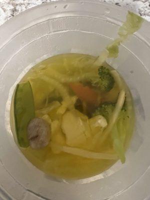 Chicken Vegetable Soup