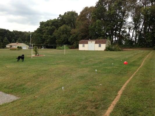 We install your unground fencing system AND train your dog to respond.  Thorough training ensures your dog remains safely in your yard.