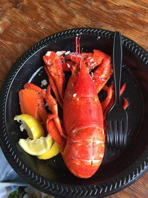 1-1/4 lb chilled lobster