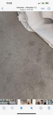 Carpet stained in bedroom