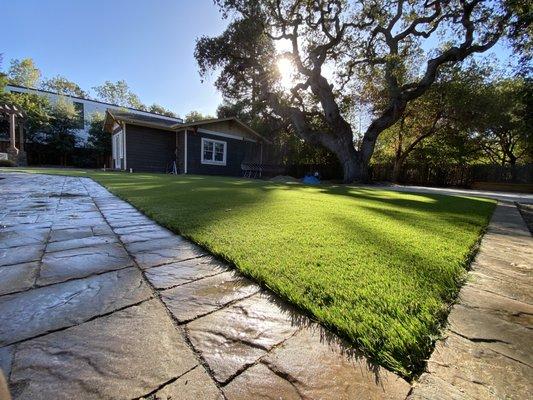 Artificial Grass & Paver work