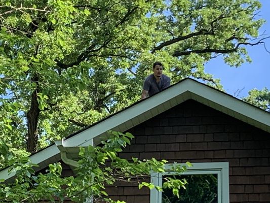 Manny up on our roof cleaning out filthy gutters