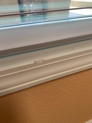 Brand new house with chipped window sills