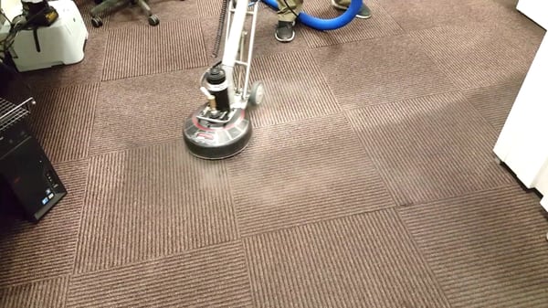 carpet steam cleaning.