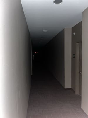 Lights don't work in residential hallway outside of apartments. Straight out of a horror movie.