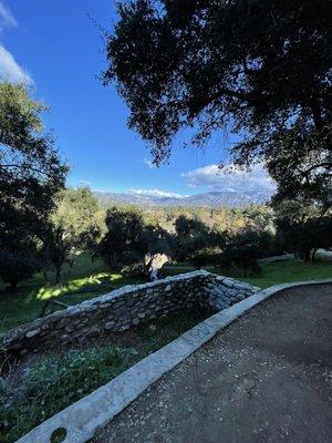 Trail path & view