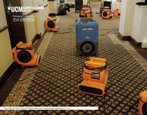 Water damage restoration