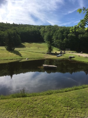 Morning at the ponds.