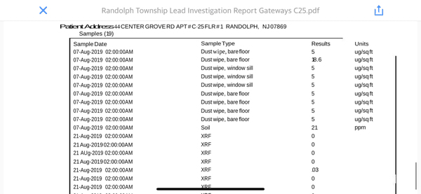 Lead Investigation report for Apt C-25 of Gateways at Randolph