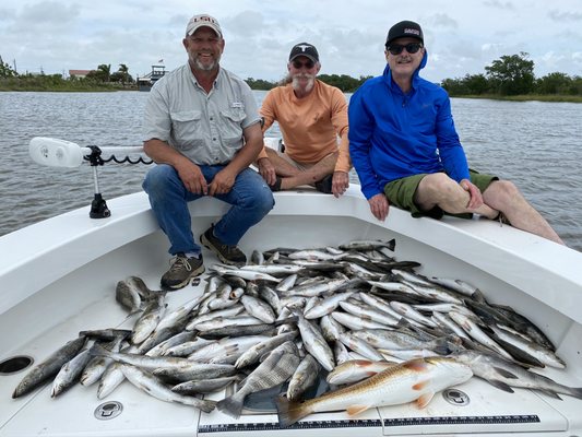 Ellender Charters