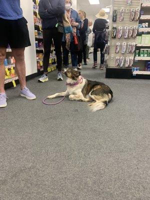 50 minute wait in pharmacy line today at cvs on upper west side