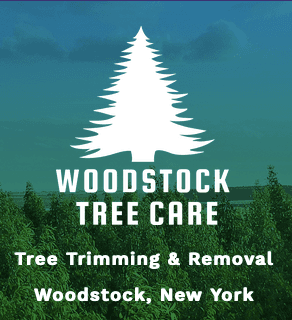 Woodstock Tree Care logo