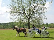 Transportation available to get to and from your choice of wedding site