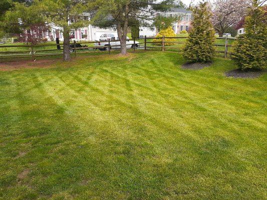 Lawn designing