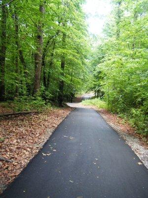 A stroll along the trail on a June morning. I bet it is pretty in the fall too.