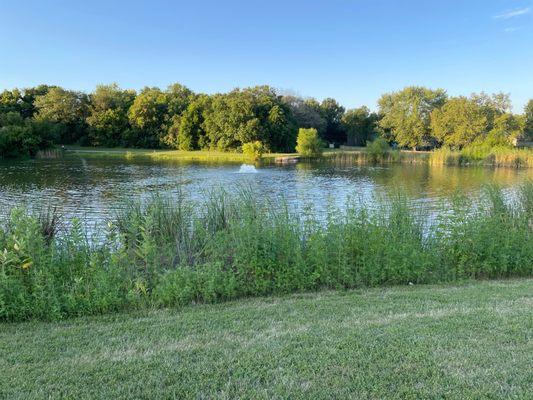 Still Memorial Park pond