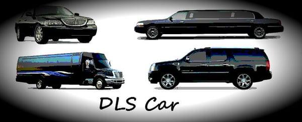 DLS Car