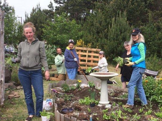 Work party at Lincoln City demo garden