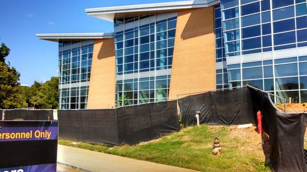 Curtain wall in commercial building.